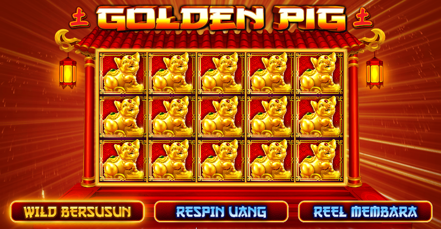 Golden Pig